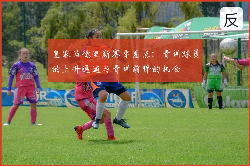 皇家马德里新赛季看点：青训球员的上升通道与青训前锋的机会